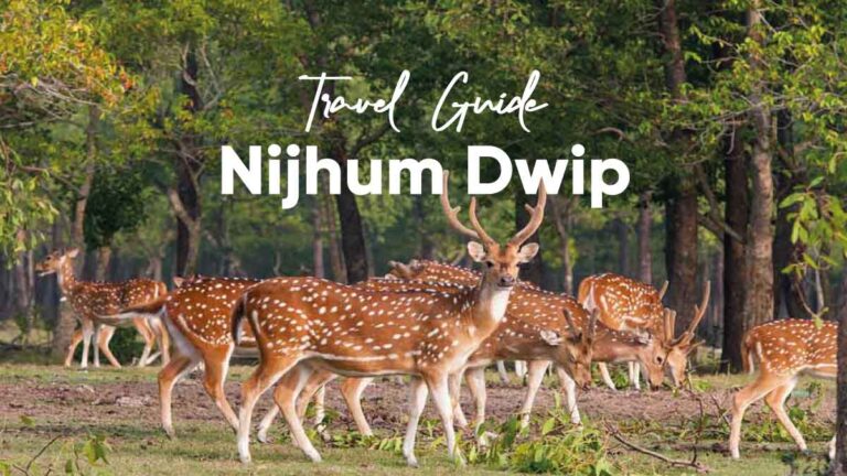 Nijhum Dwip travel guide